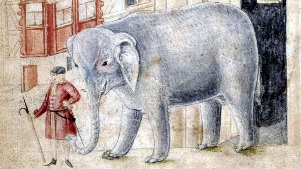 Der Elefant von Edinburgh